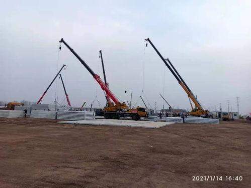 石家庄隔离爆料最新消息,揭秘隔离生活现状与挑战